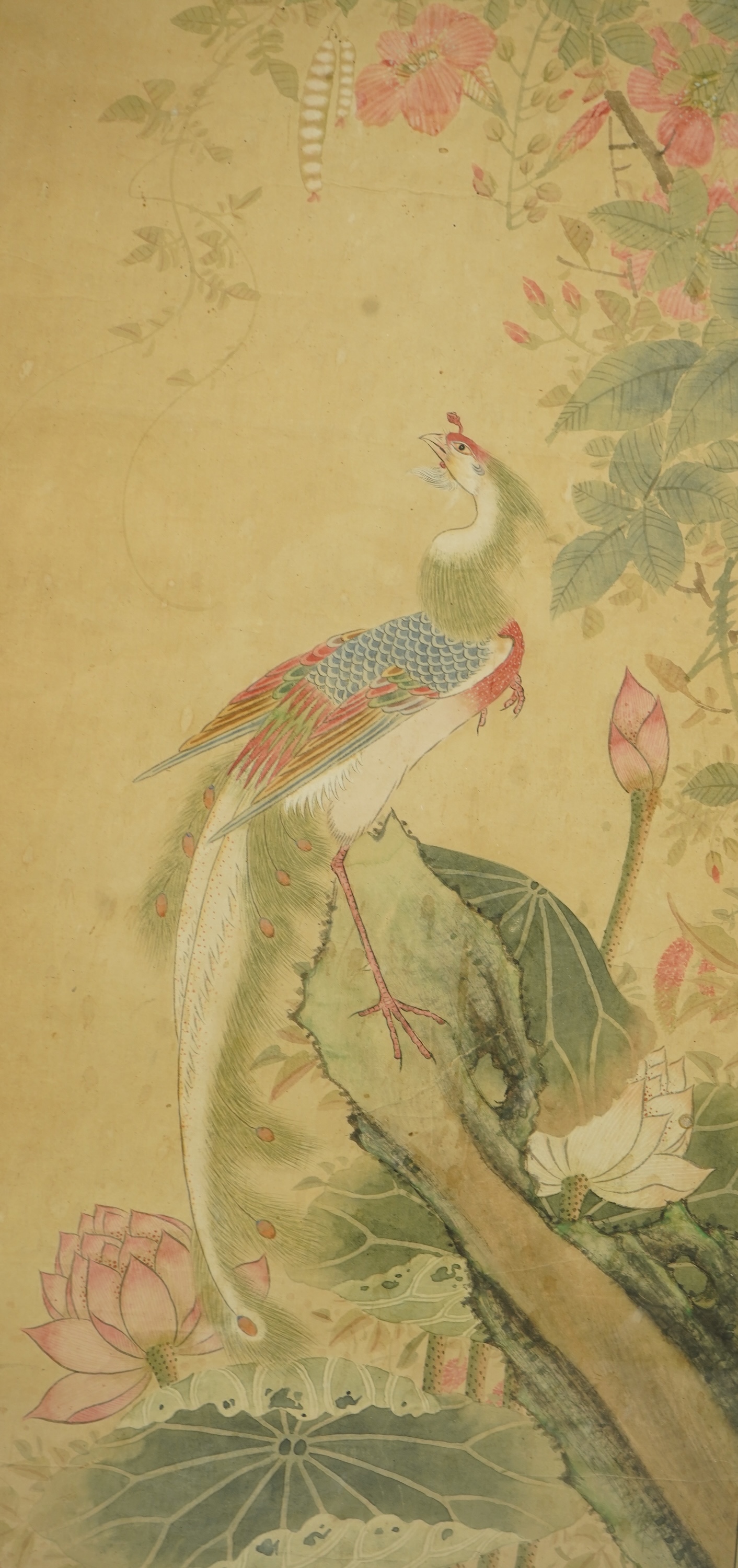 Chinese School , (18th/19th century), Phoenixes amid flowers, Ink and colour on paper; a pair